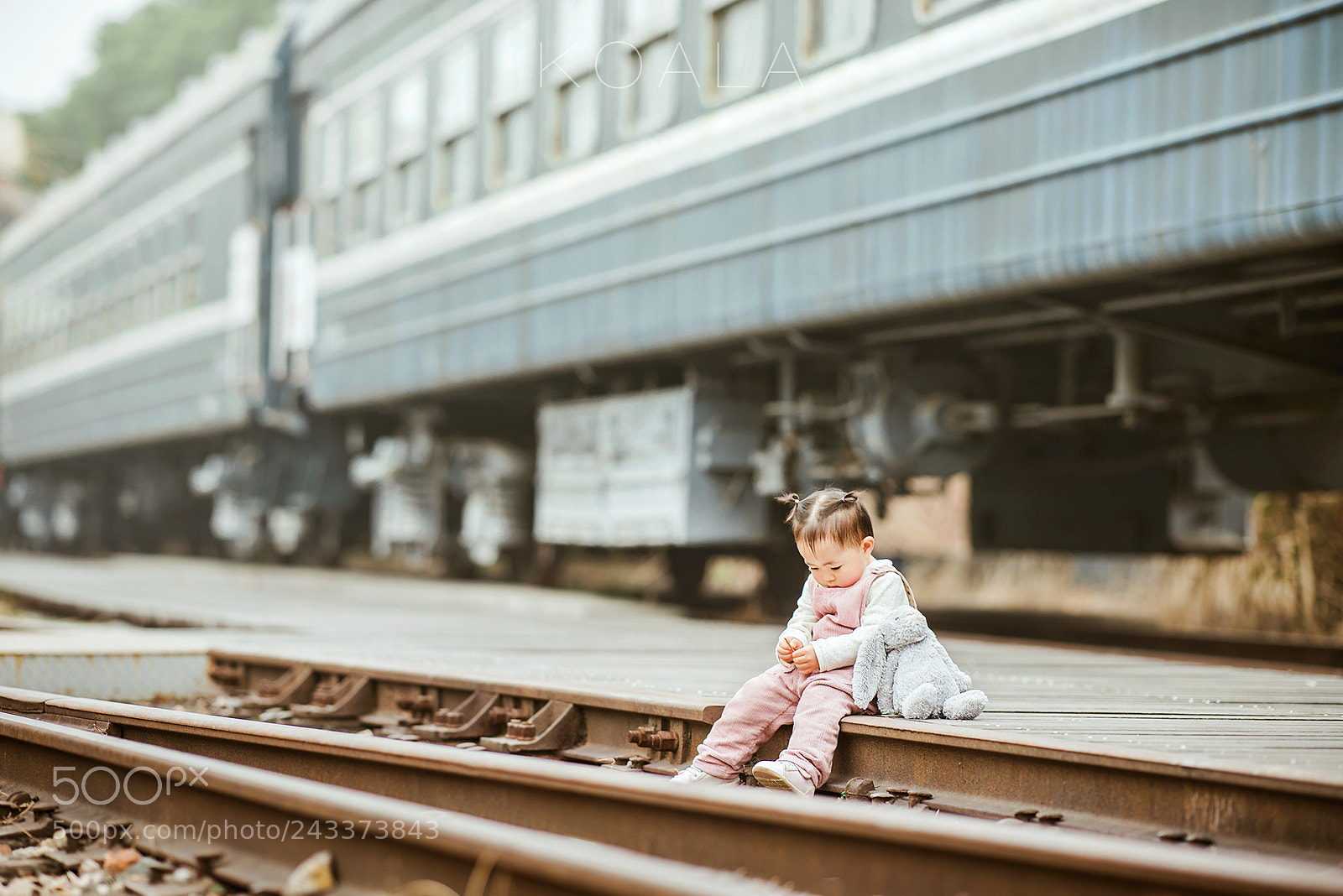 Nikon D810 sample photo. Wait alone photography