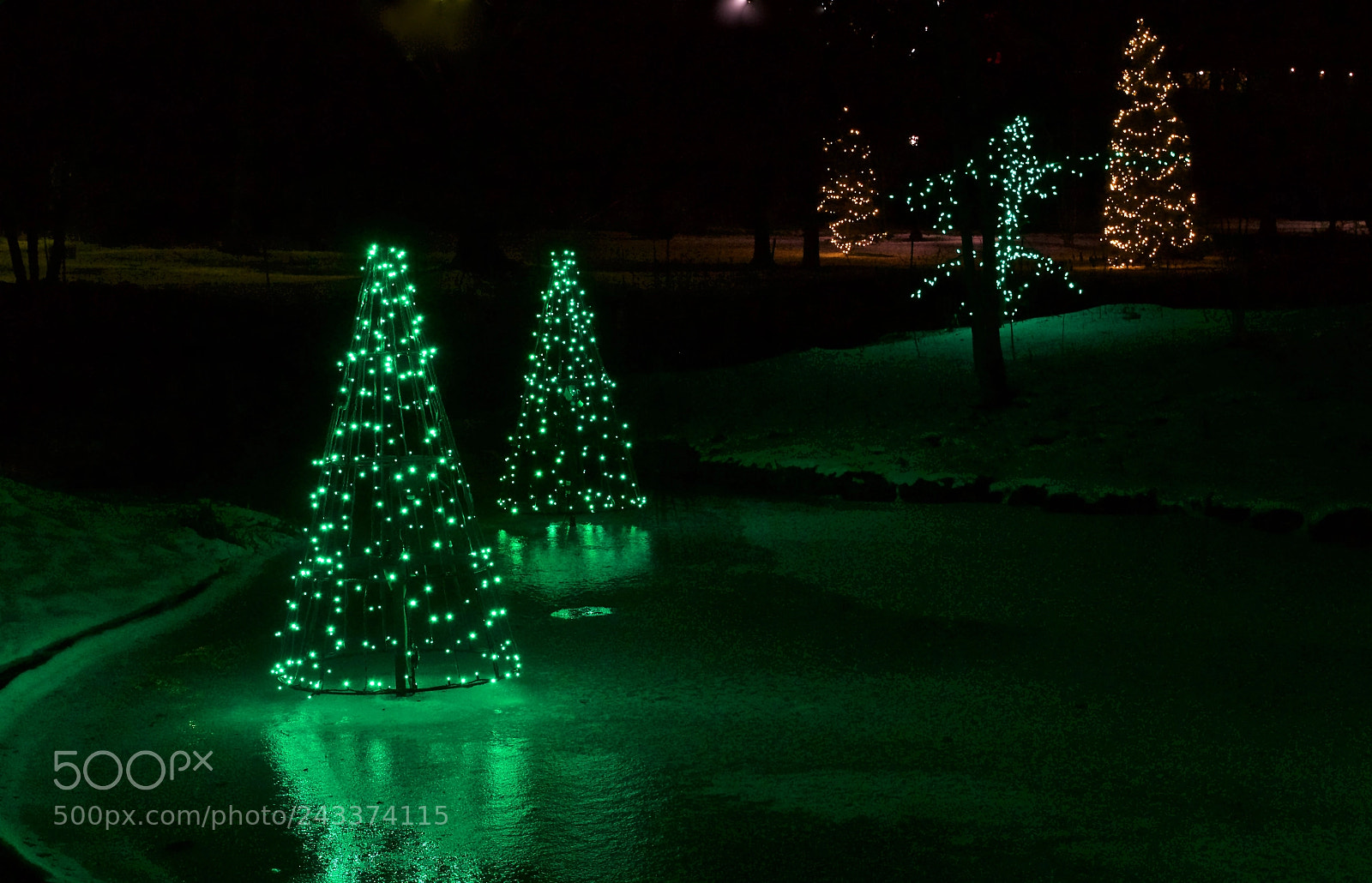 Canon EOS 700D (EOS Rebel T5i / EOS Kiss X7i) sample photo. Tree reflections photography