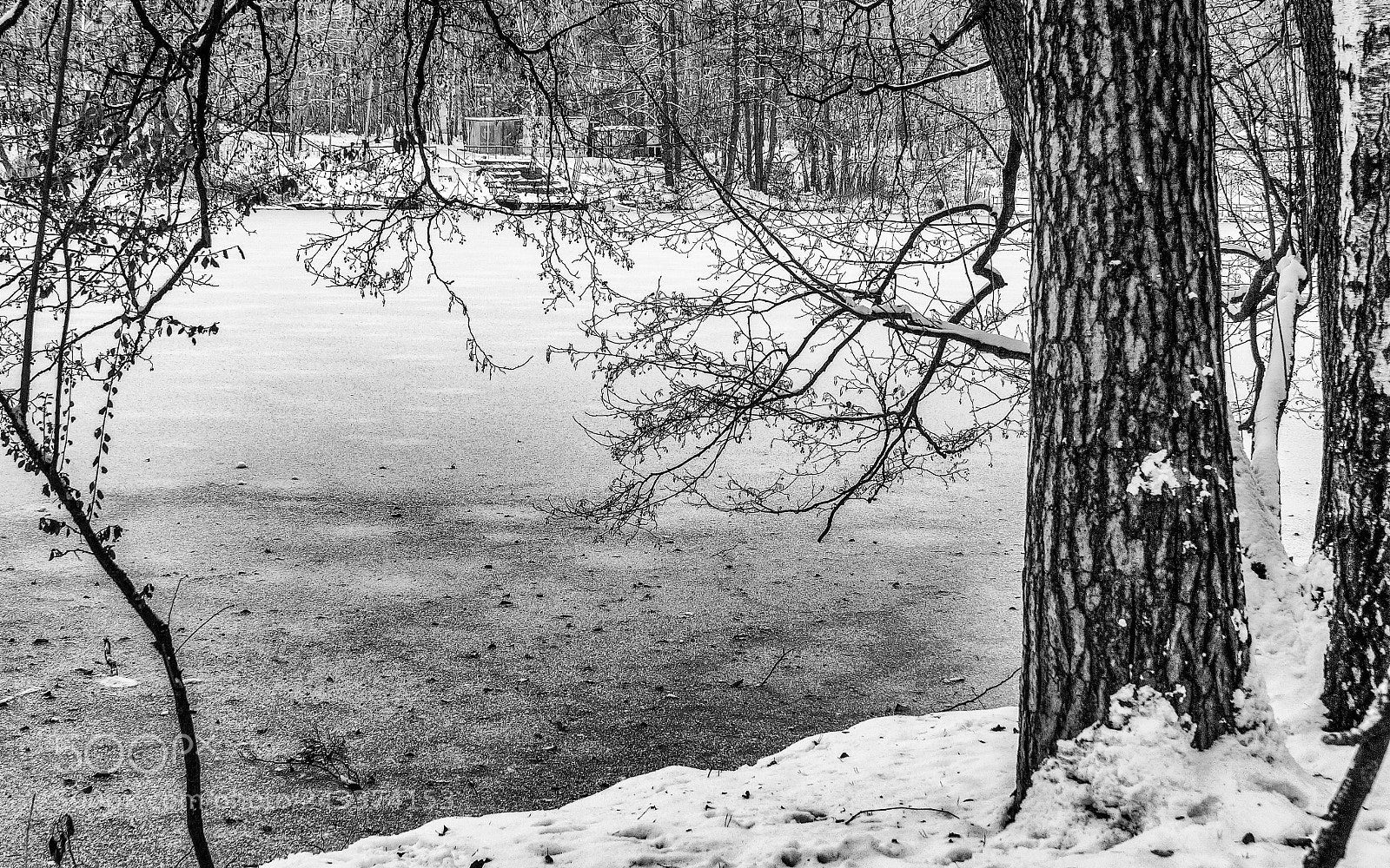 Sony SLT-A58 sample photo. Winter is coming photography