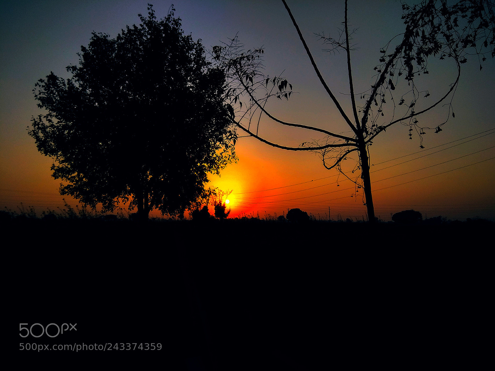 Xiaomi Redmi Note 4 sample photo. Untitled photography