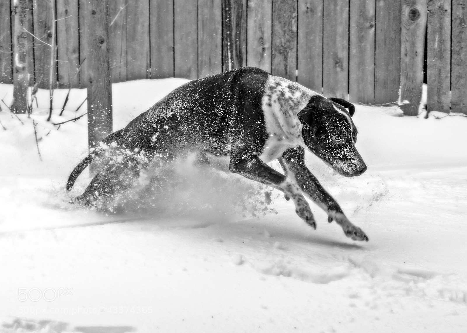 Sony a9 sample photo. Freezing karma b&w photography