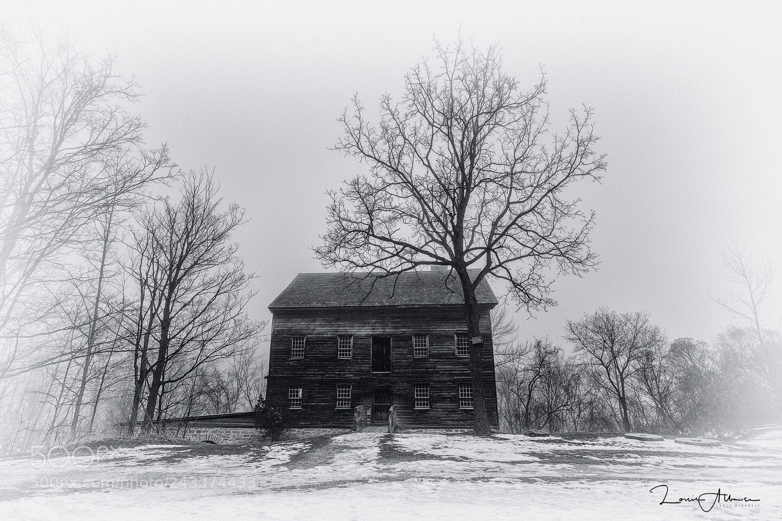 Nikon D850 sample photo. Foggy night at the photography
