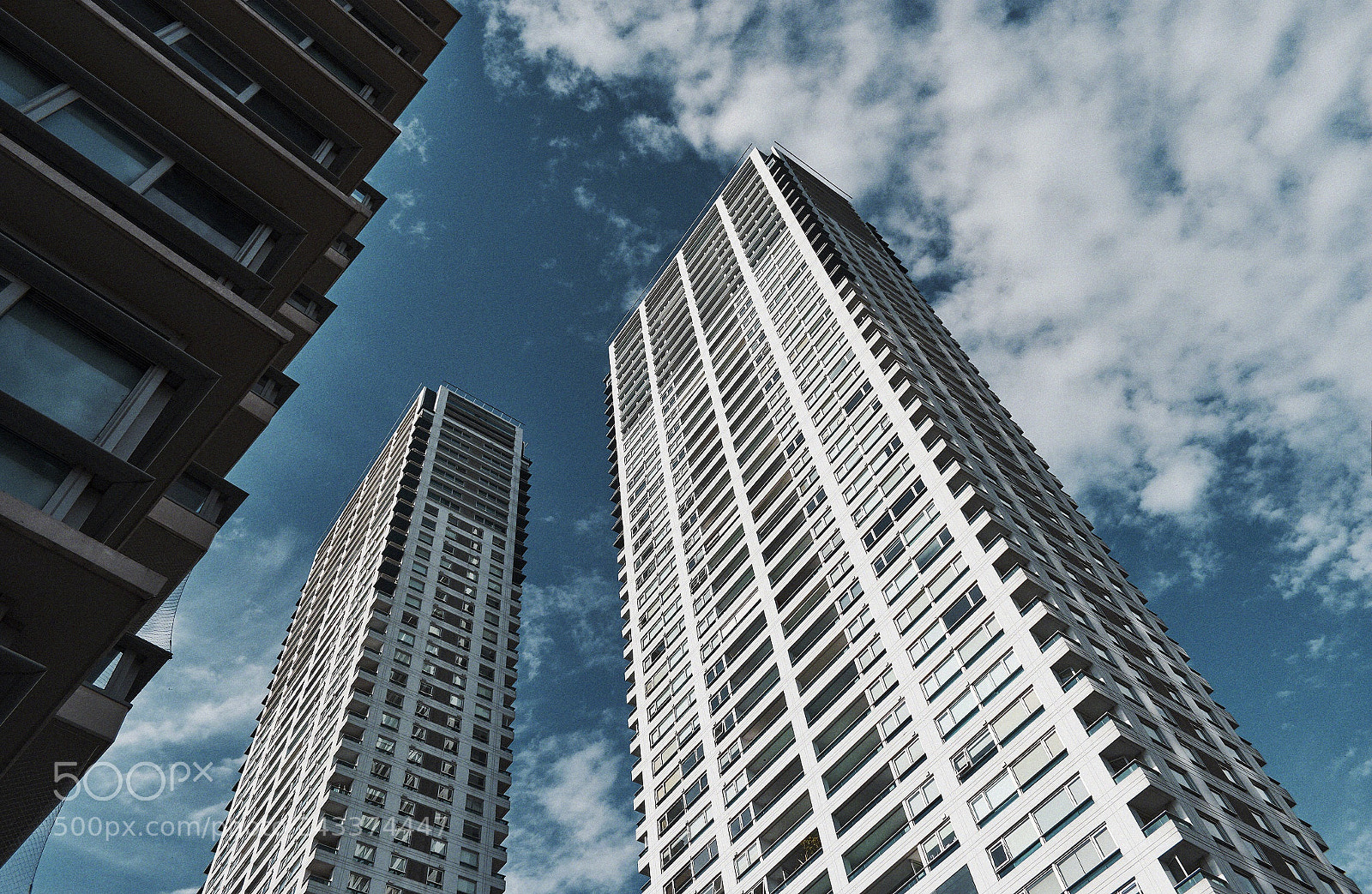 Nikon D5500 sample photo. High up photography