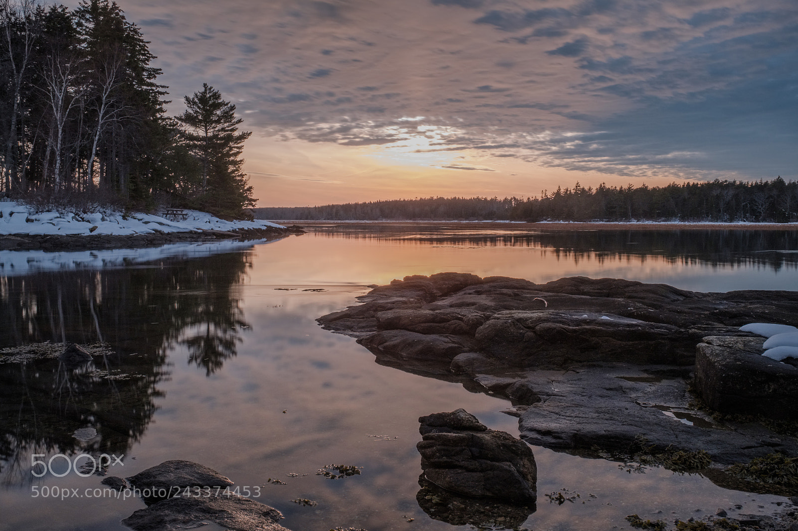 Fujifilm X-Pro2 sample photo. Reid state park photography