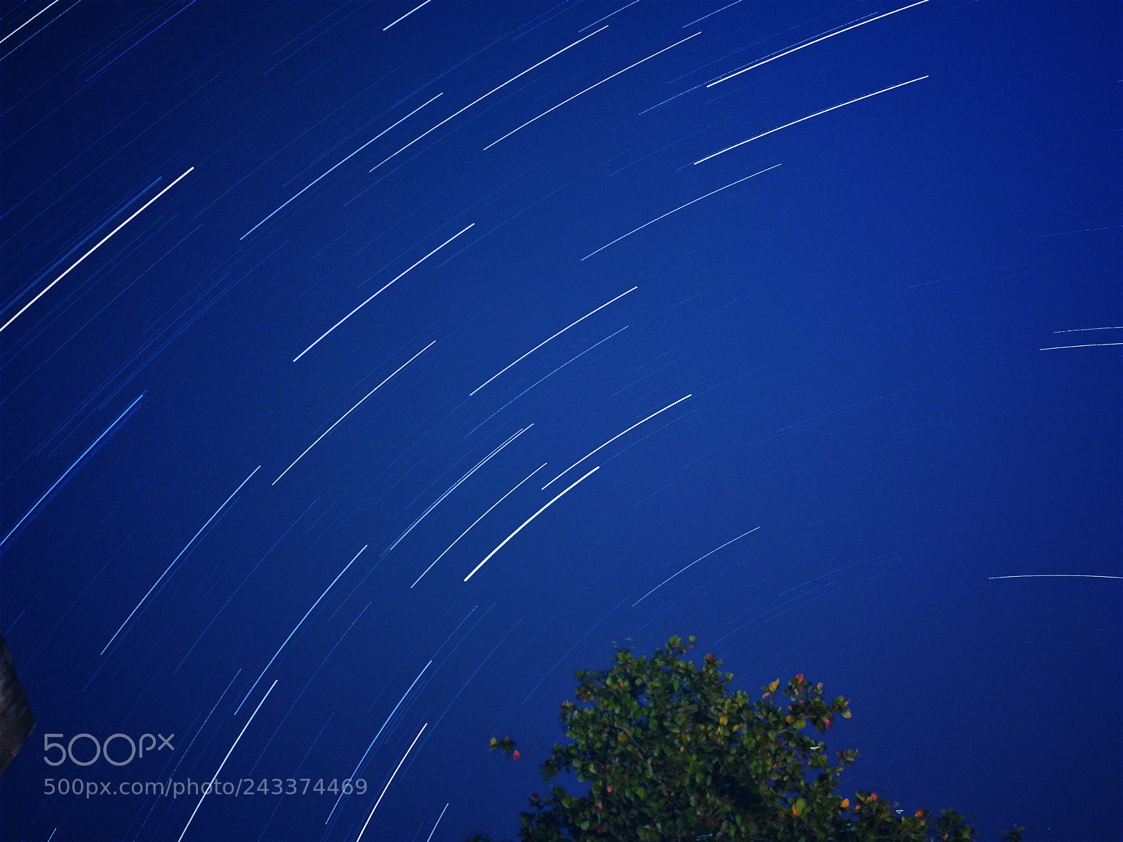 HUAWEI honor 6x sample photo. Star trails photography