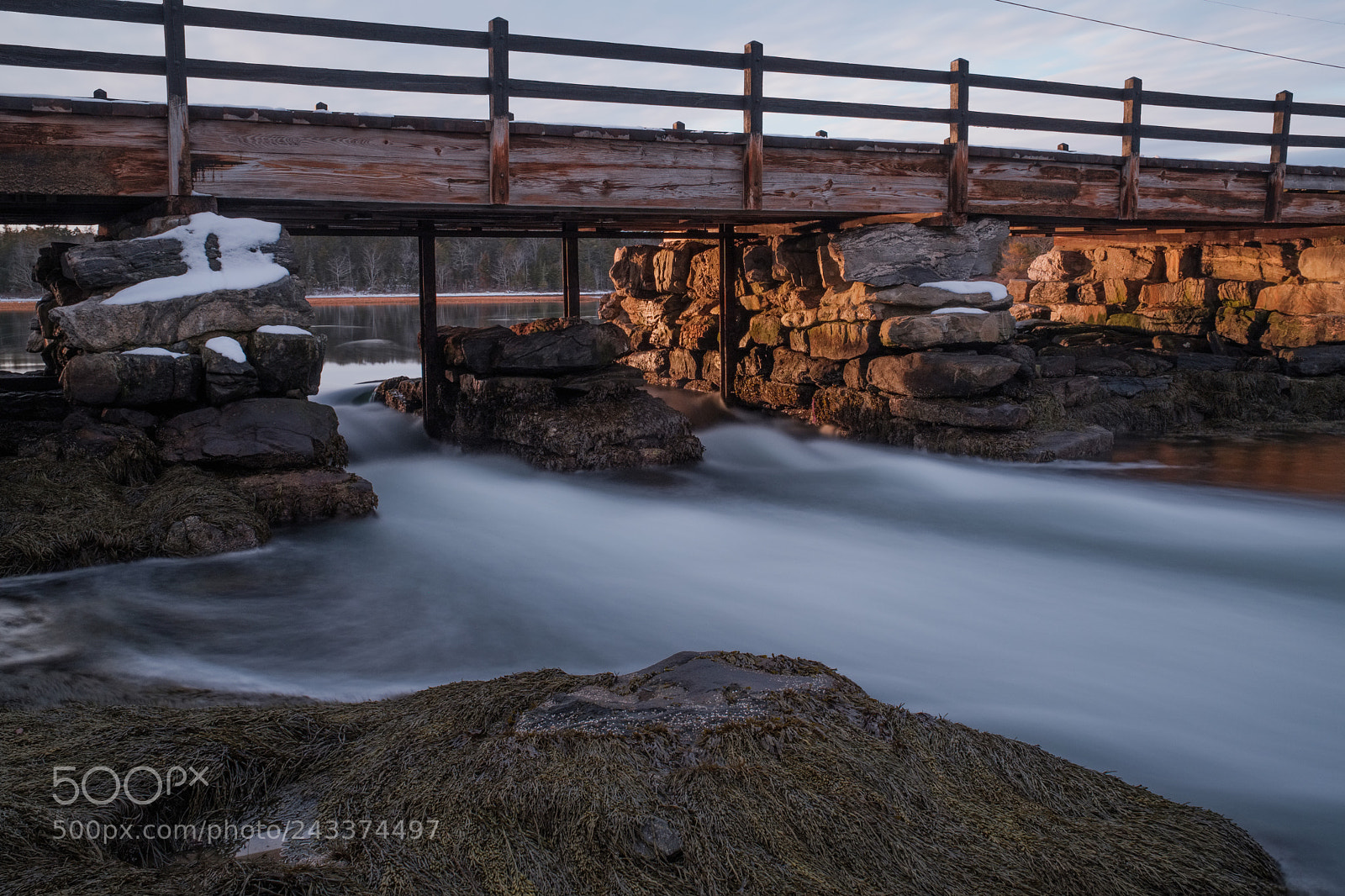 Fujifilm X-Pro2 sample photo. Reid state park photography