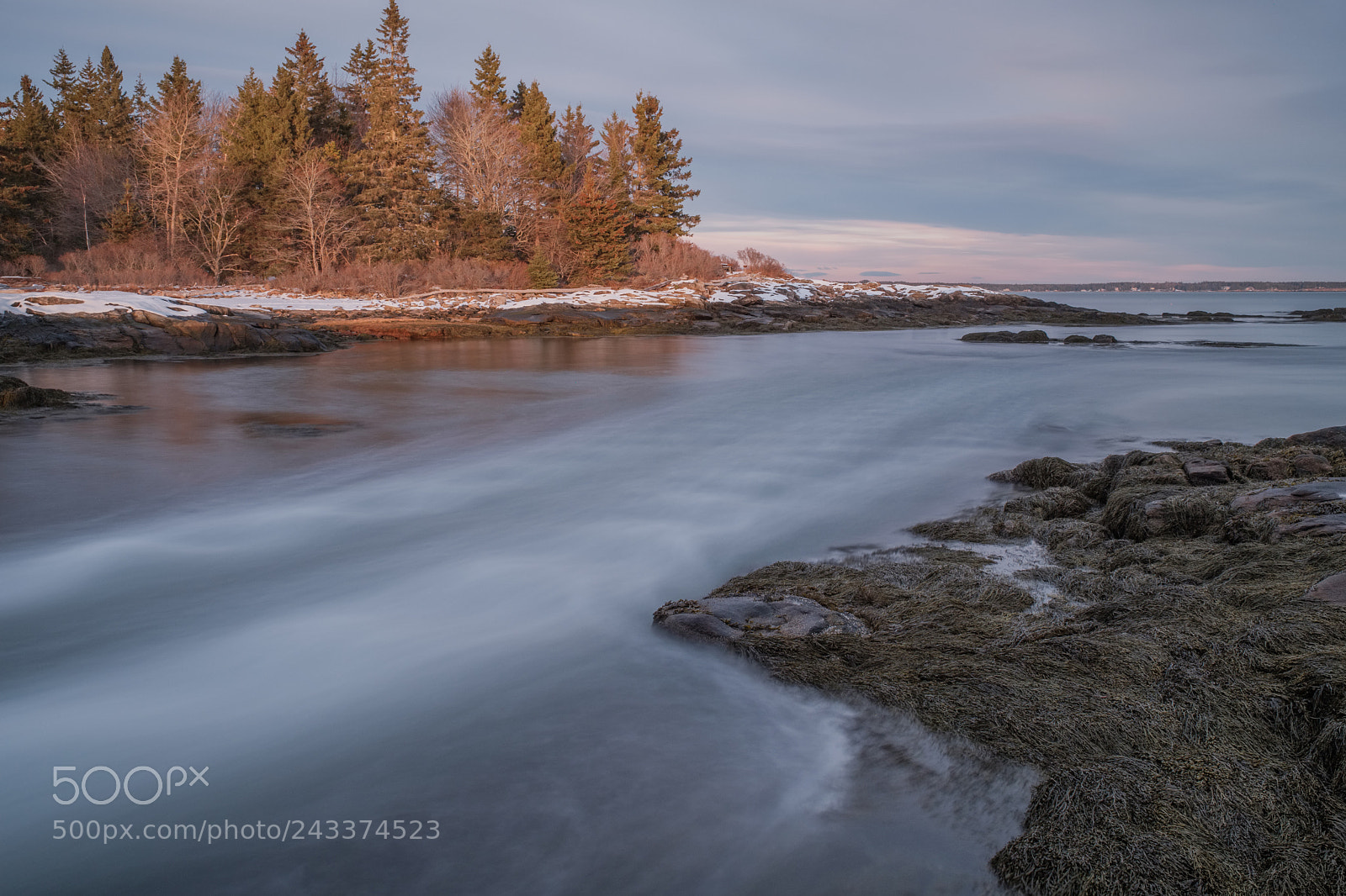 Fujifilm X-Pro2 sample photo. Reid state park photography