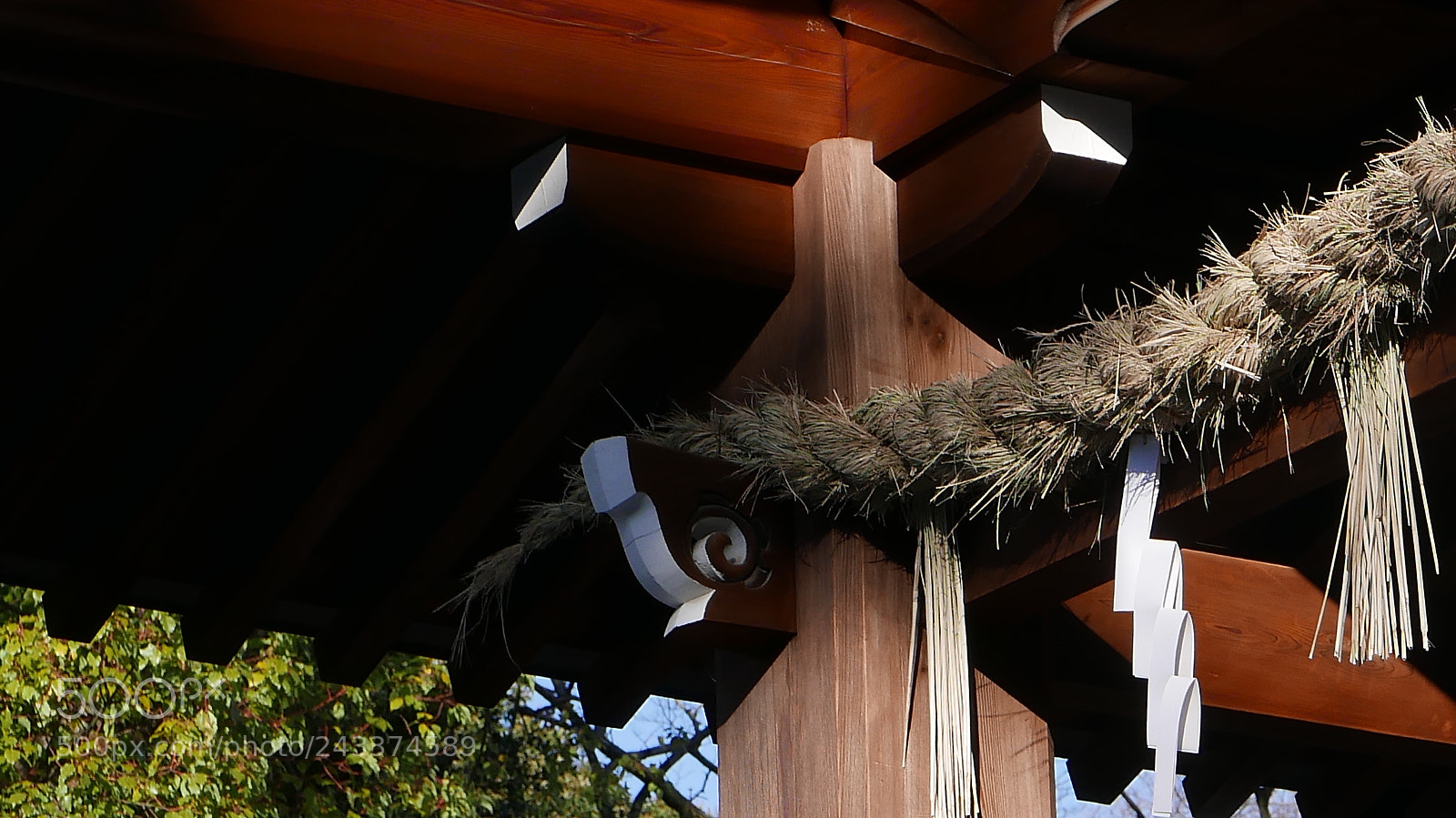 Leica D-Lux (Typ 109) sample photo. 夕照。。。 photography