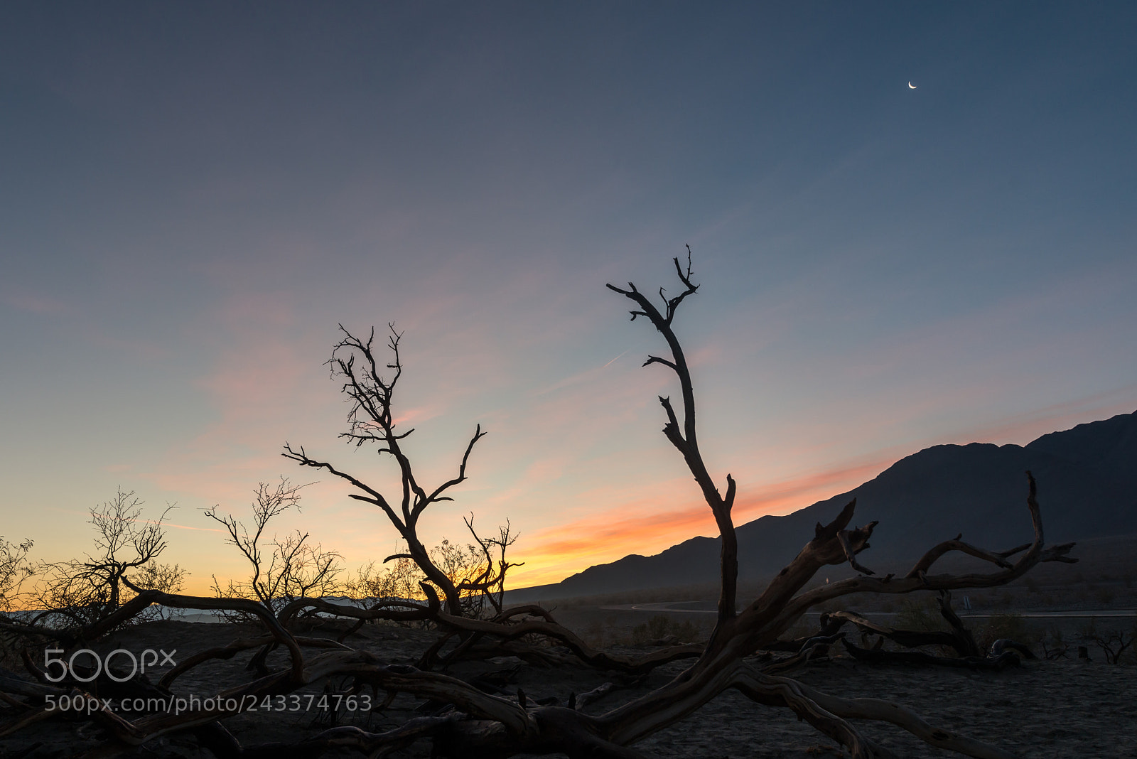 Nikon D800 sample photo. Mesquite flats sunrise photography