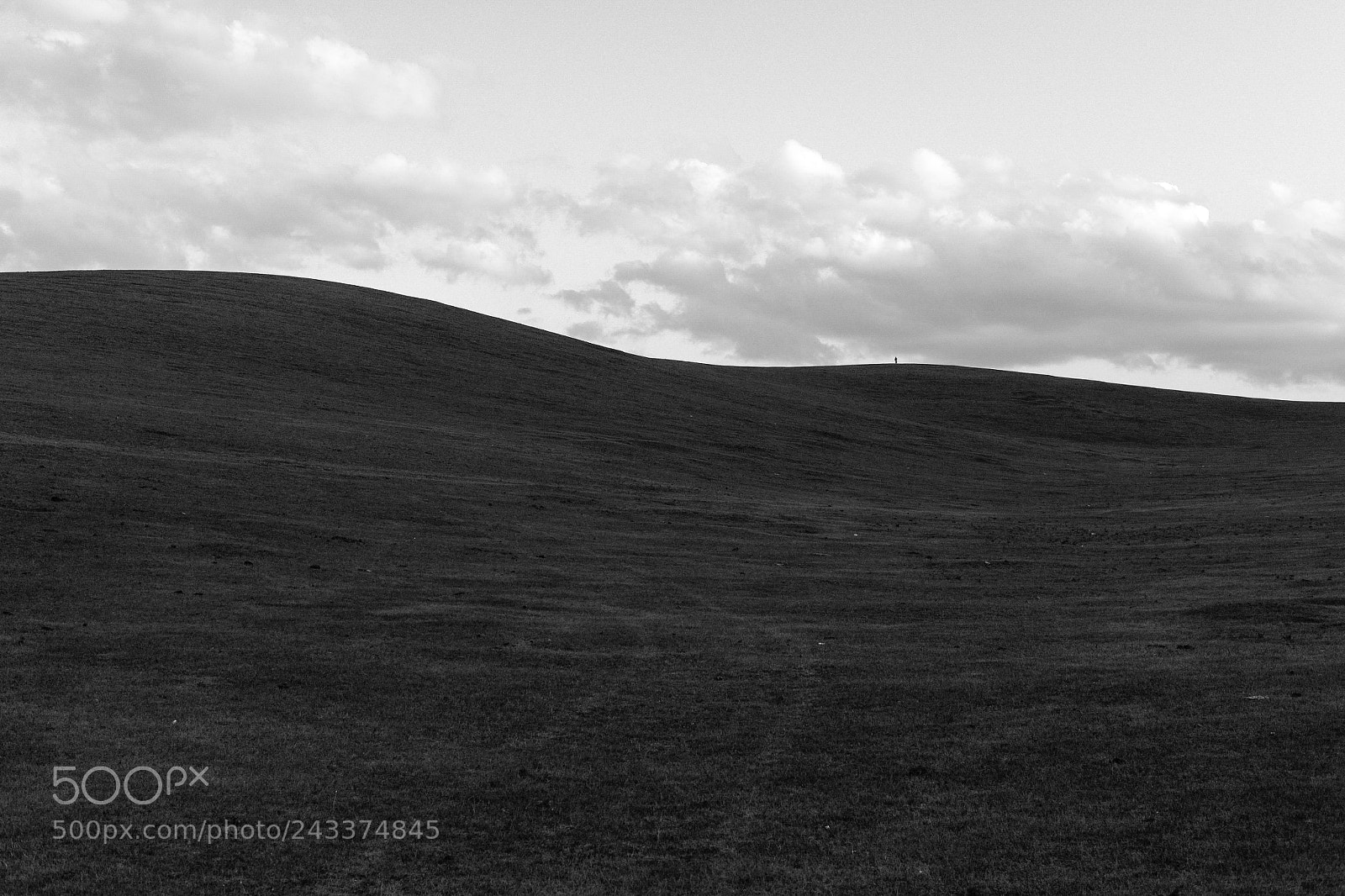 Nikon D610 sample photo. Bw landscape photography