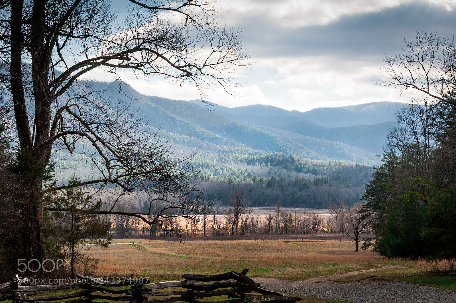 Nikon D5000 sample photo. Smoky mountains photography