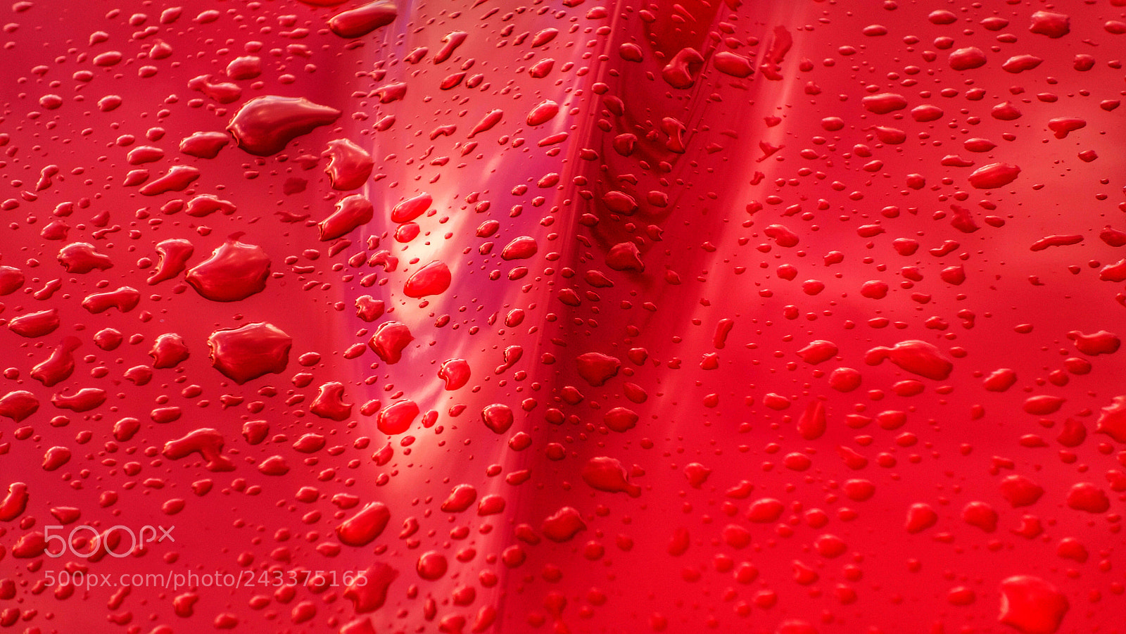 Sony Cyber-shot DSC-RX100 II sample photo. Red rain photography