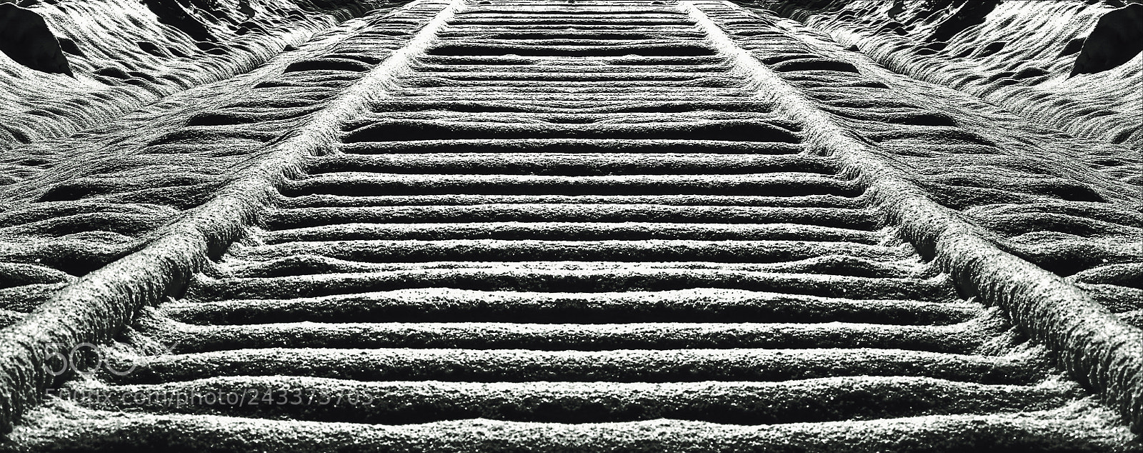 Nikon D7200 sample photo. Tracks photography