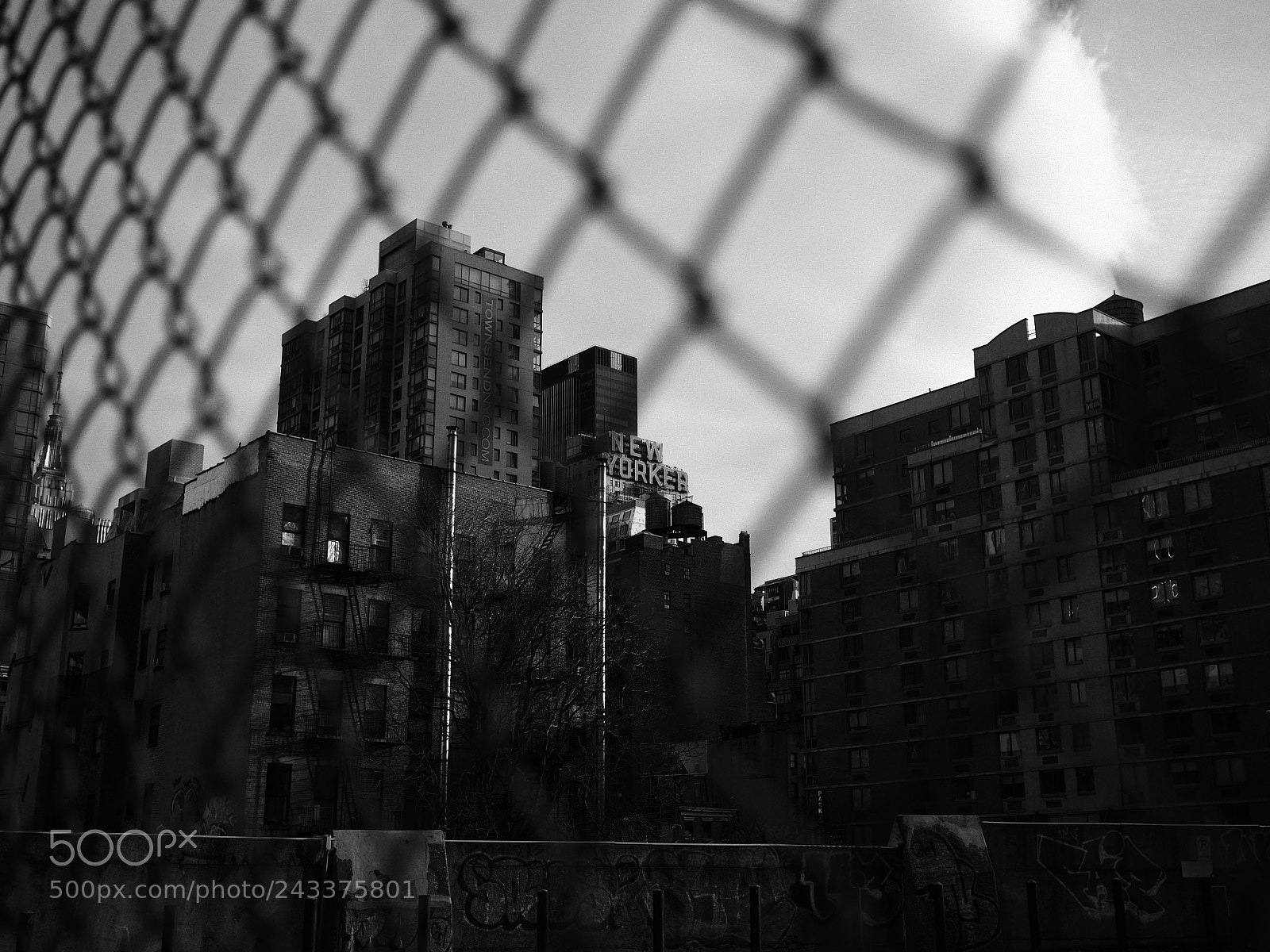 Olympus PEN-F sample photo. Nyc winter stroll photography