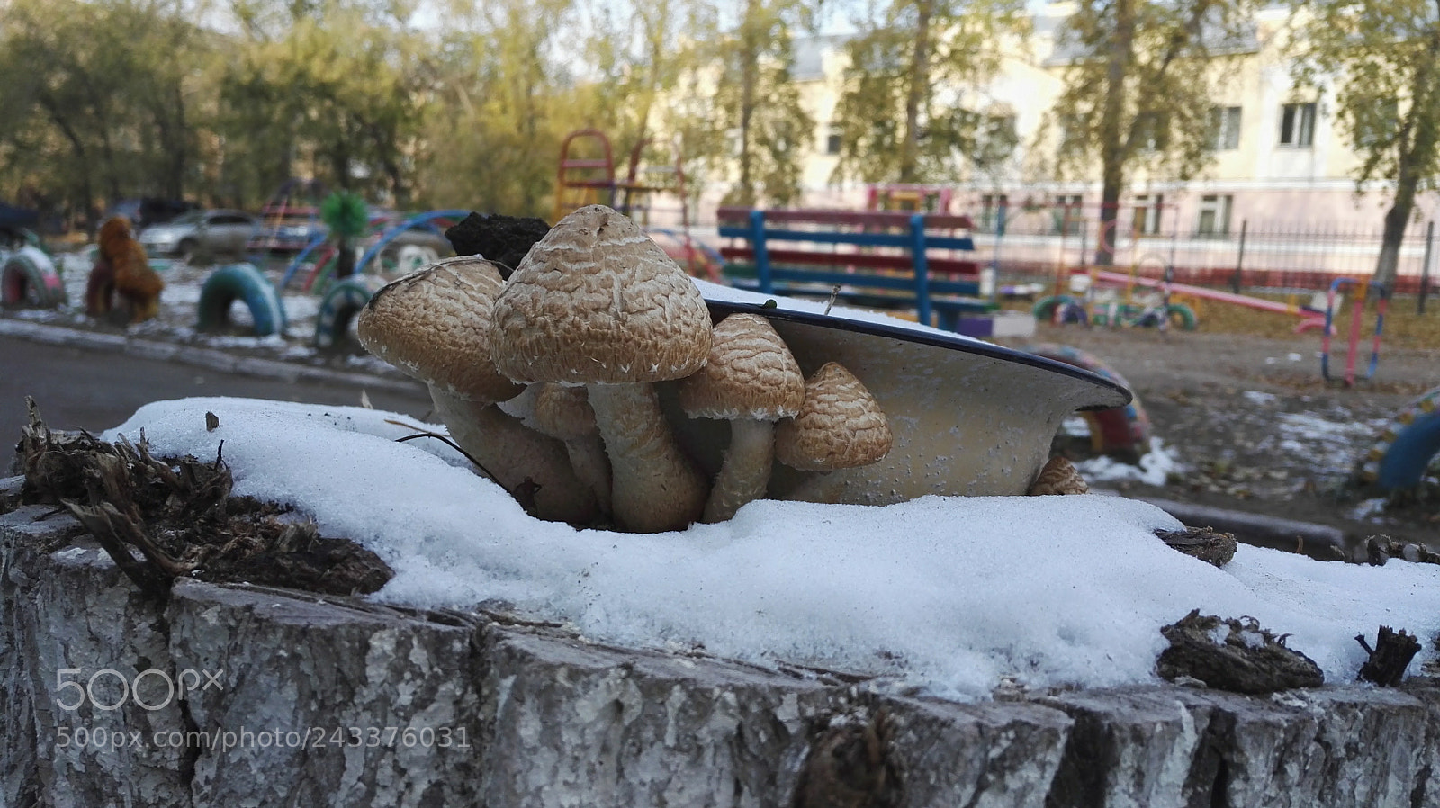 HUAWEI Honor 7 sample photo. Dav photography