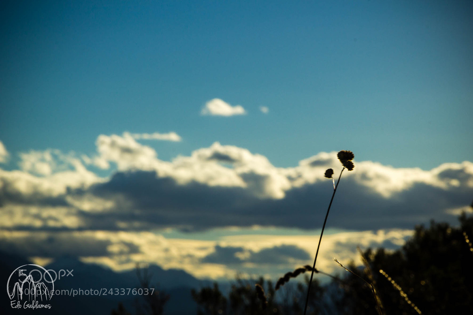 Canon EOS 60D sample photo. The simplest thing photography