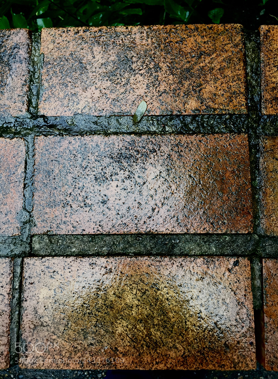 Apple iPhone 6 sample photo. Brick & water ~ photography