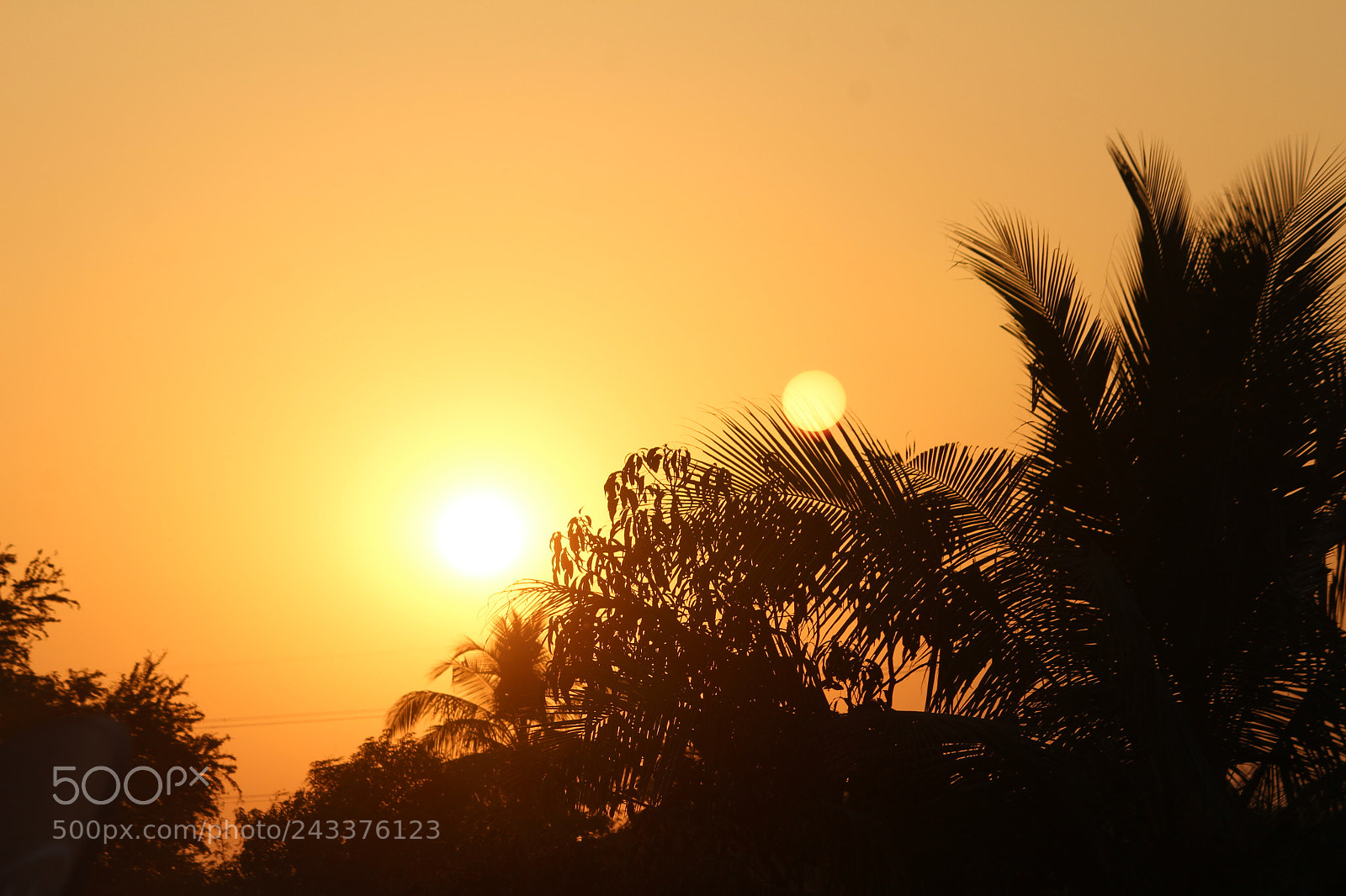 Canon EF-S 55-250mm F4-5.6 IS II sample photo. Img photography