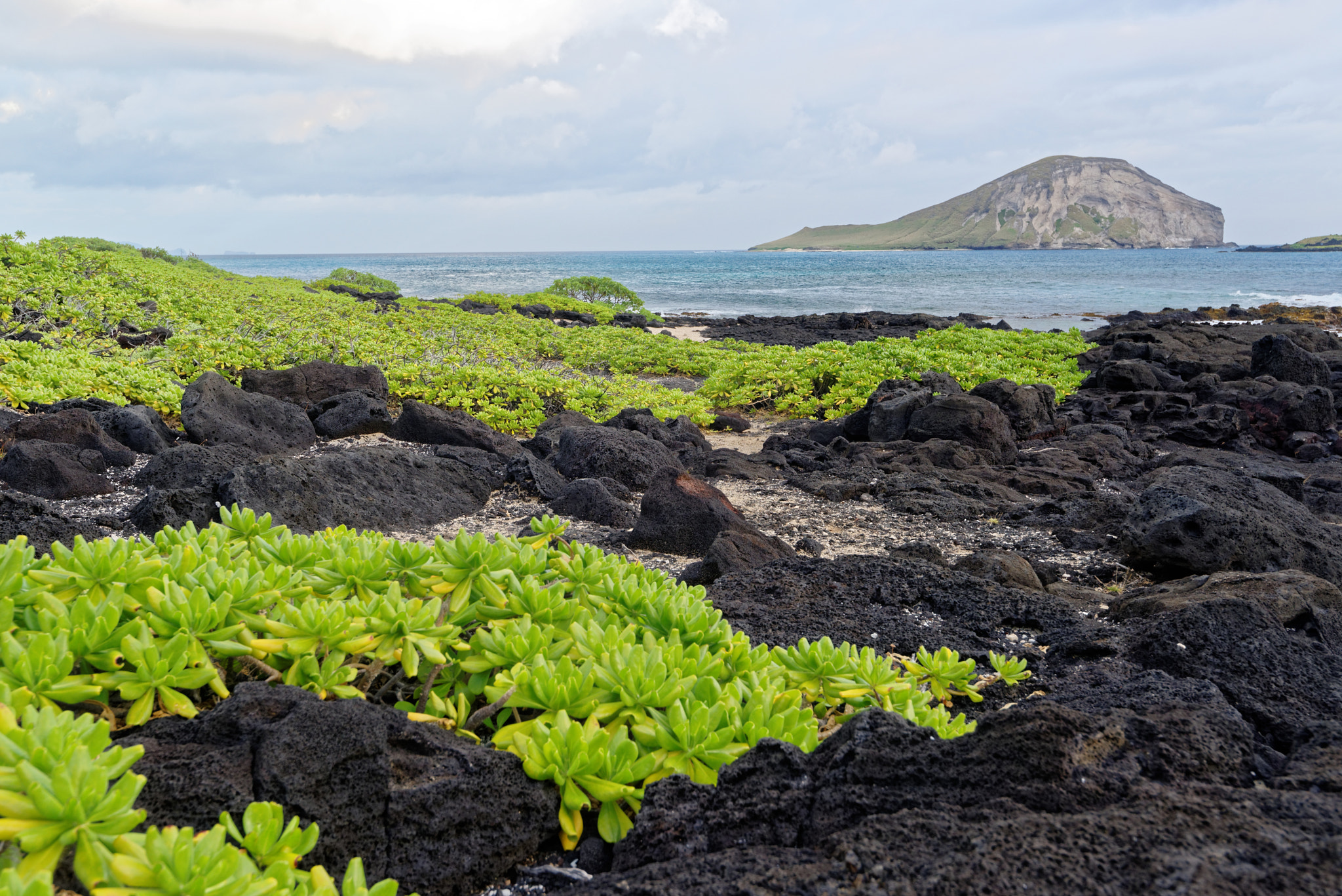 Nikon AF-S Nikkor 16-35mm F4G ED VR sample photo. Lava sea photography