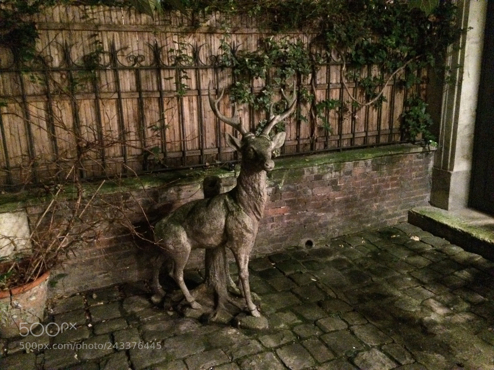 Apple iPhone 5s sample photo. Img photography
