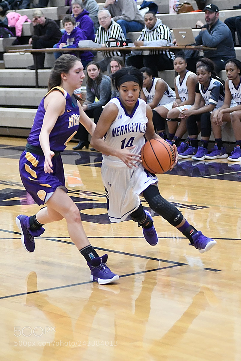 Nikon D500 sample photo. 1-17_0628.jpg photography
