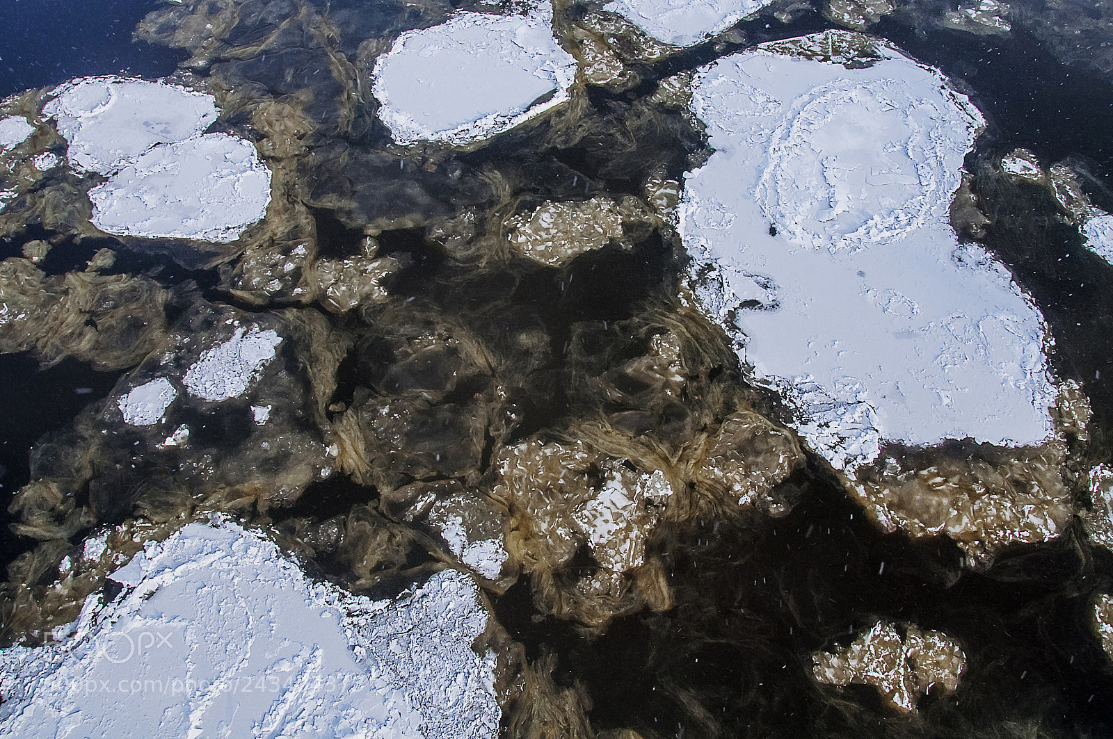 Nikon D90 sample photo. Floating ice photography