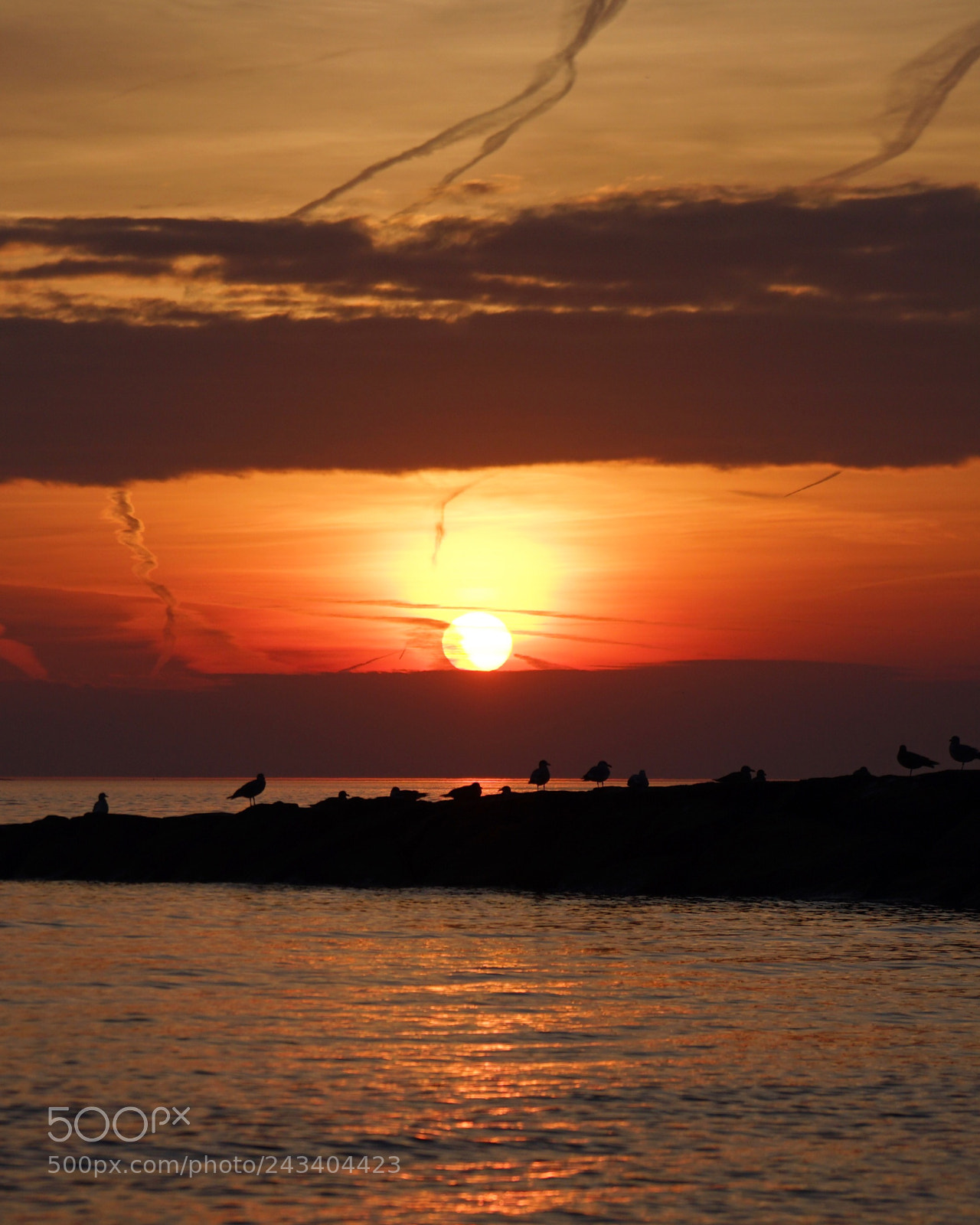 Sony a6300 sample photo. Sunset last night.  photography