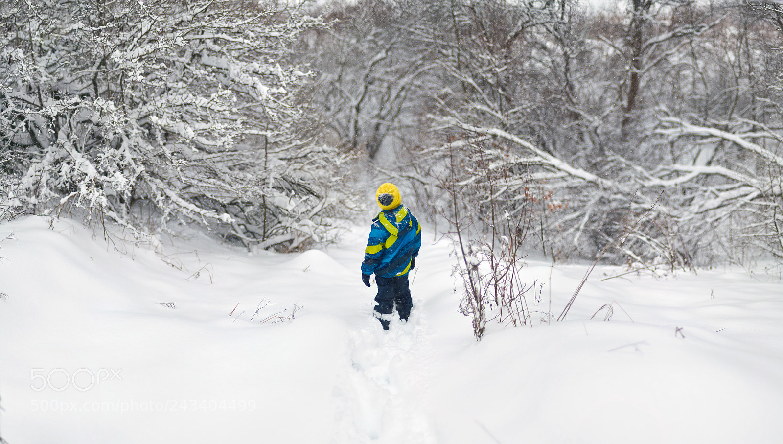 Nikon D4 sample photo. Winter photography