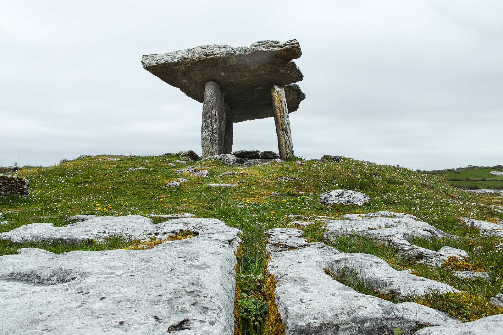 Sigma DP1 Merrill sample photo. Dolmen photography