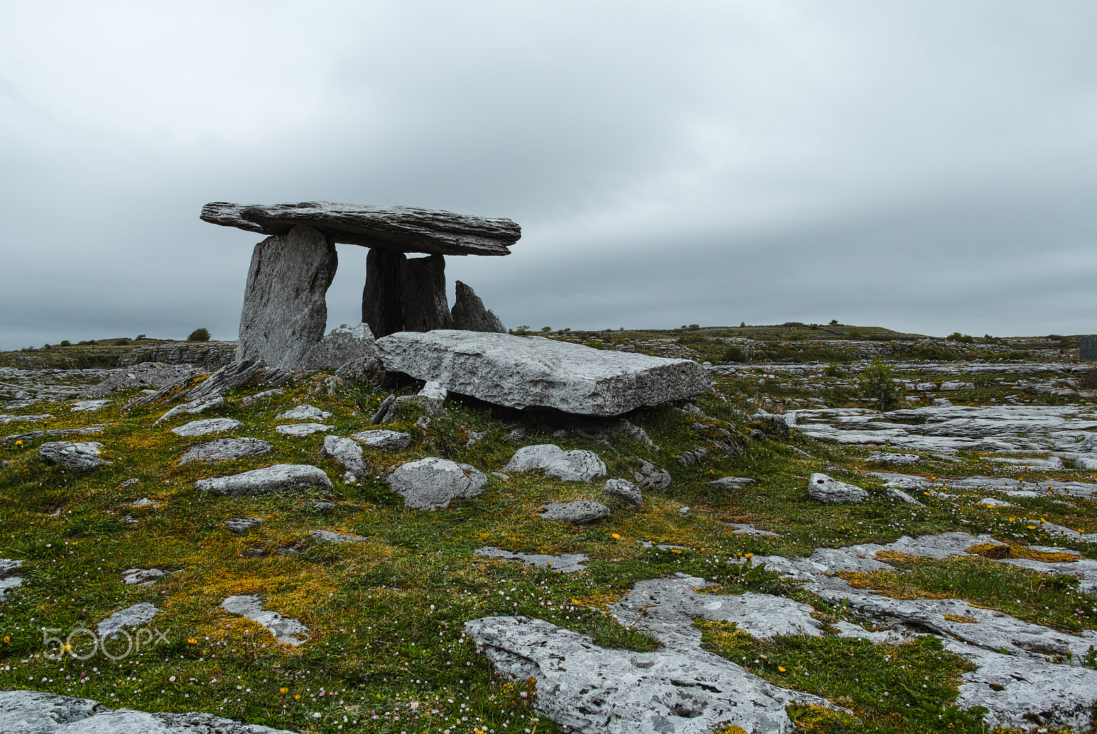 Sigma DP1 Merrill sample photo. Dolmen photography