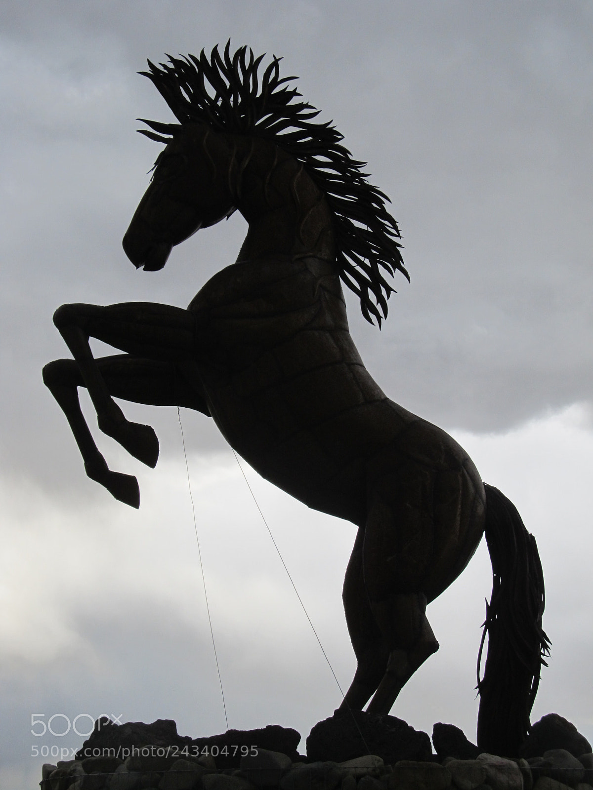 Canon PowerShot SX130 IS sample photo. Horse against the sky photography