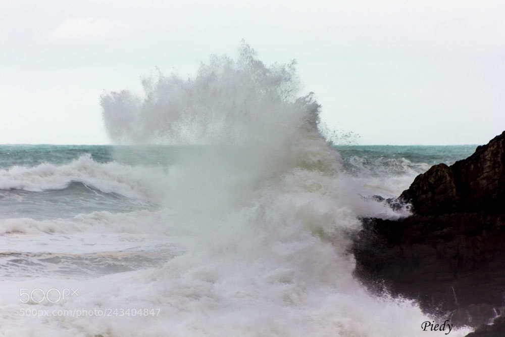 Canon EOS 60D sample photo. Img photography