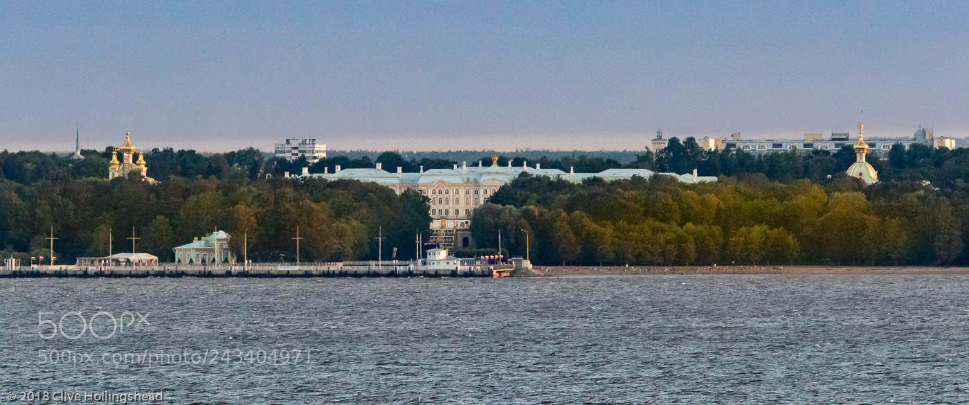 Canon EOS 7D Mark II sample photo. Peterhof - peter the photography