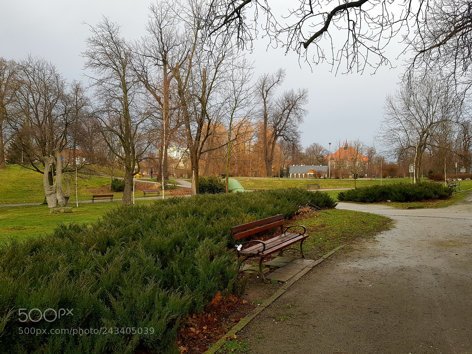 Samsung Galaxy S8+ sample photo. Untitled photography