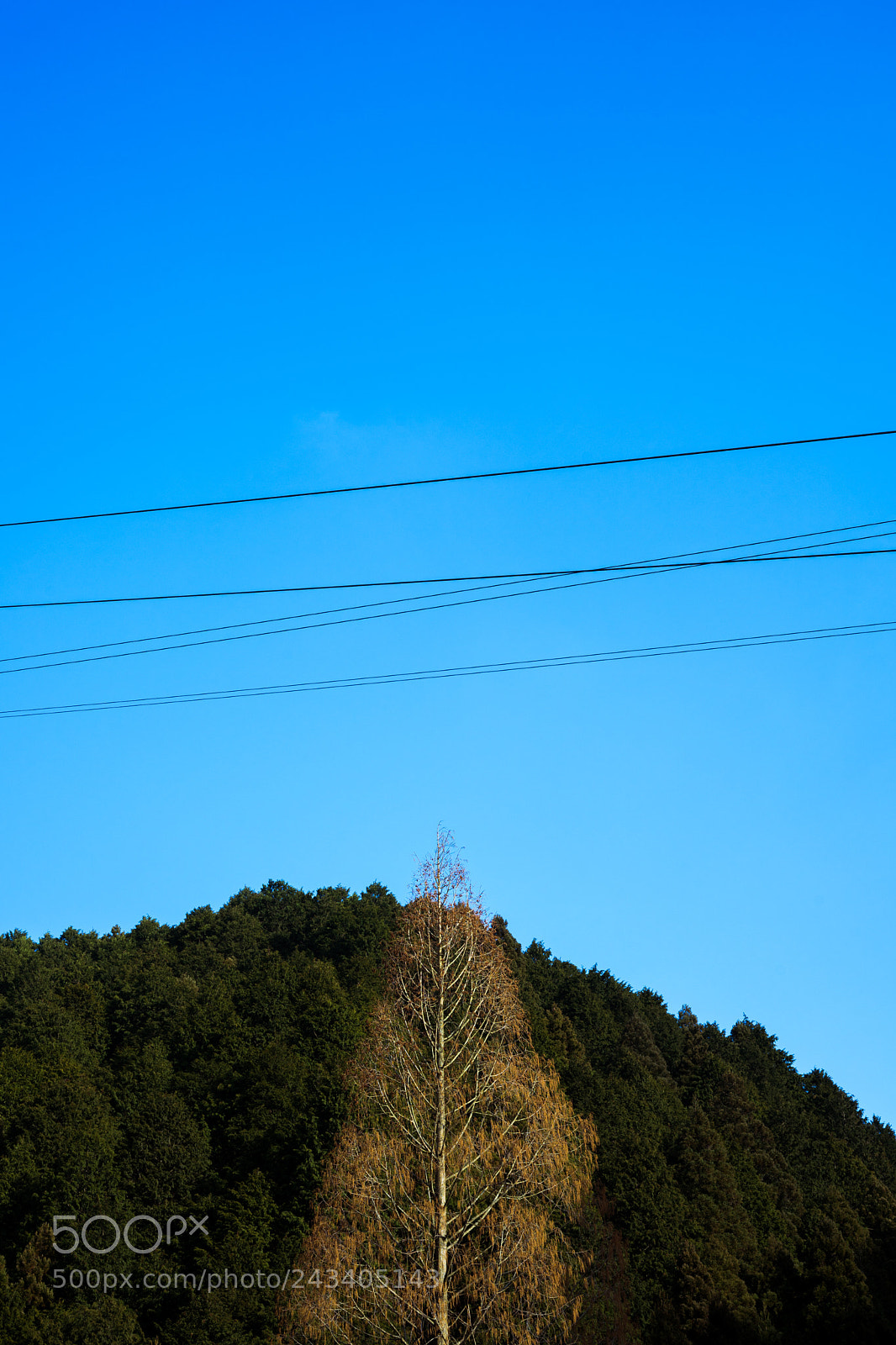 Sony a7 II sample photo. Untitled photography