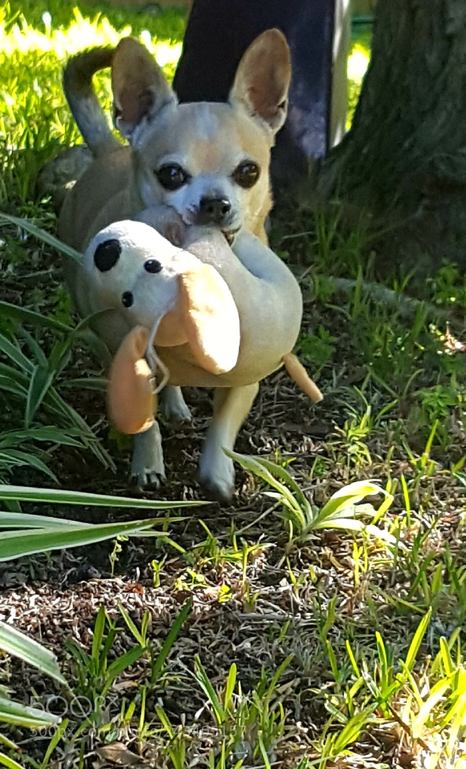 Samsung Galaxy S6 sample photo. Untitled photography