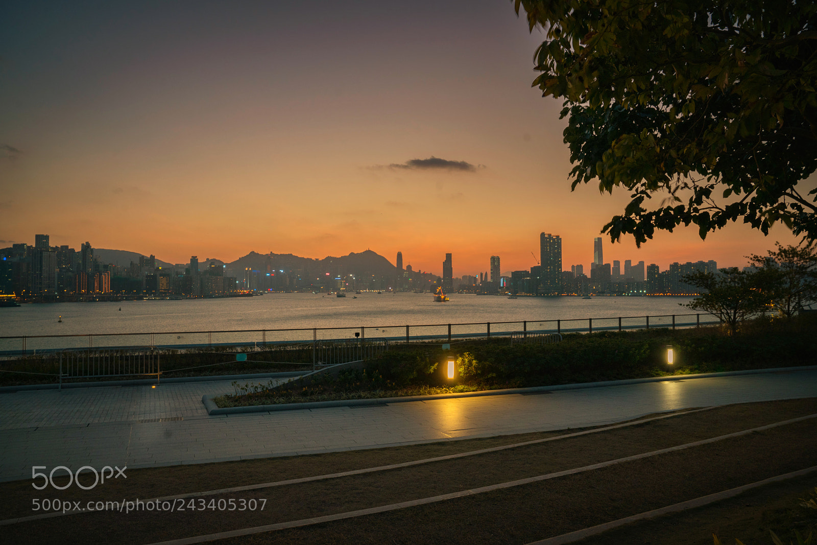 Sony a7R II sample photo. A lonely walk in photography