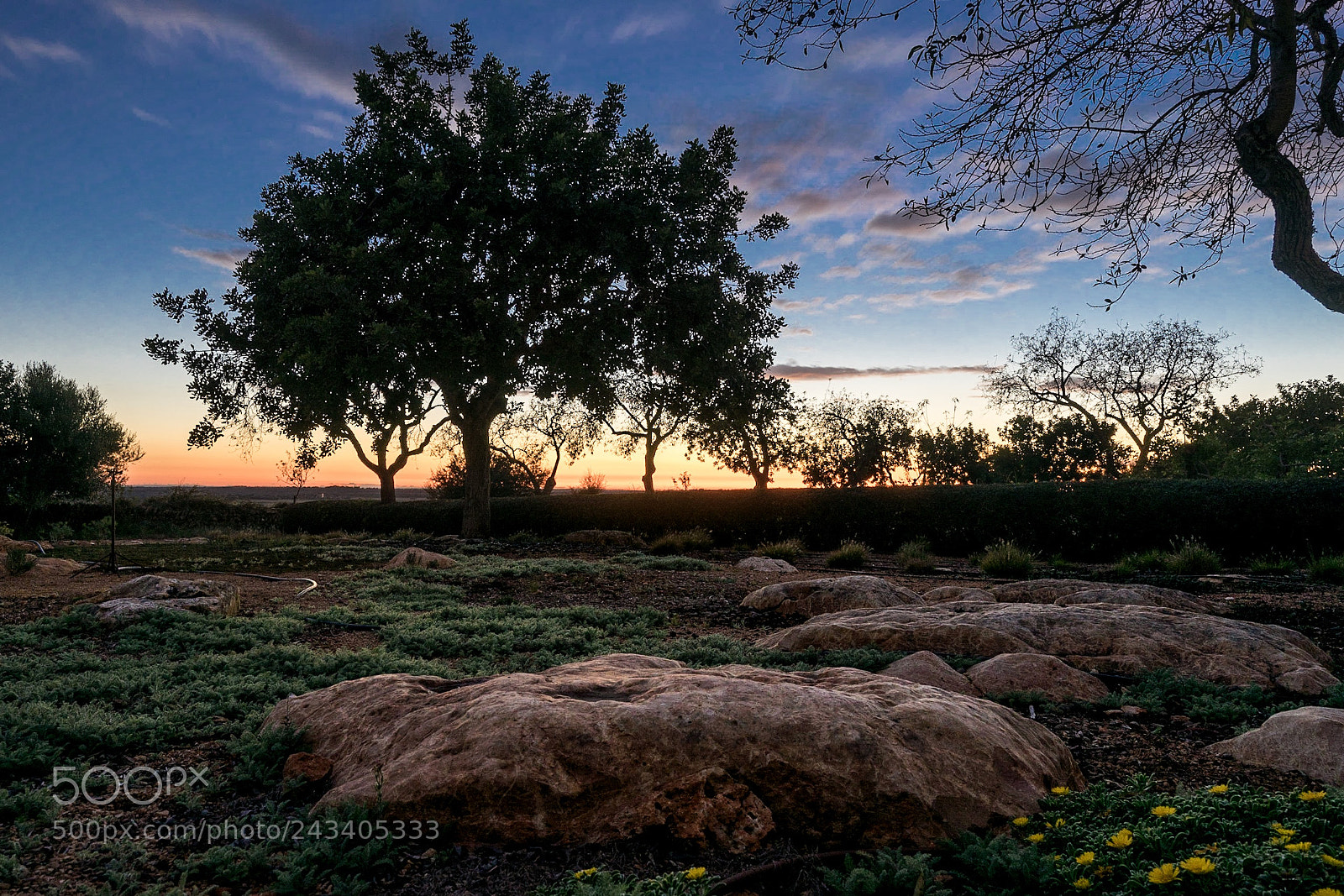 Sony a7 sample photo. Colorful sunset on majorca photography