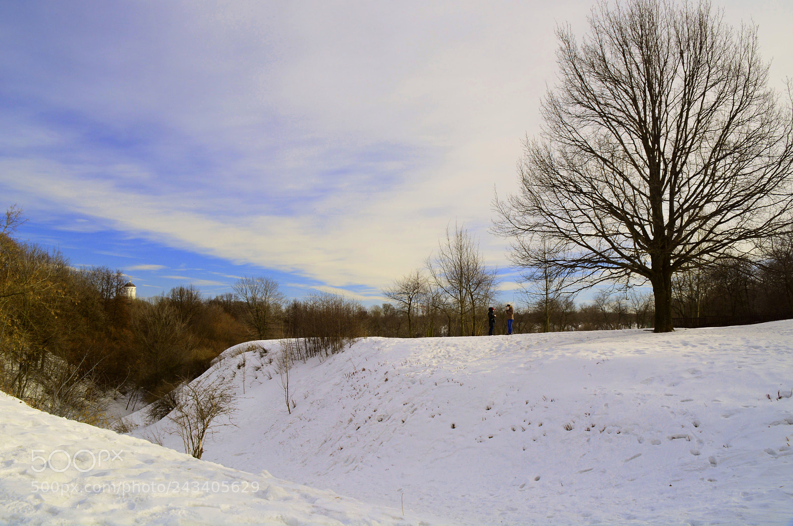Nikon D7100 sample photo. Winter photography