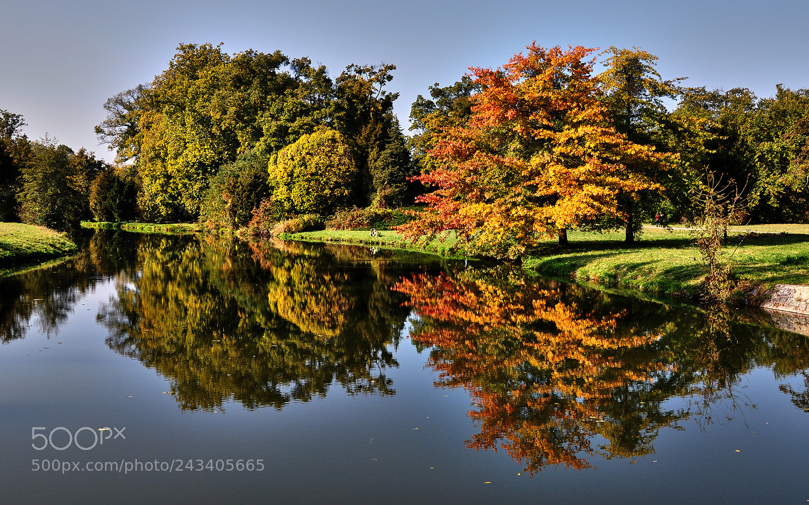 Nikon D5000 sample photo. Autumn mirror photography