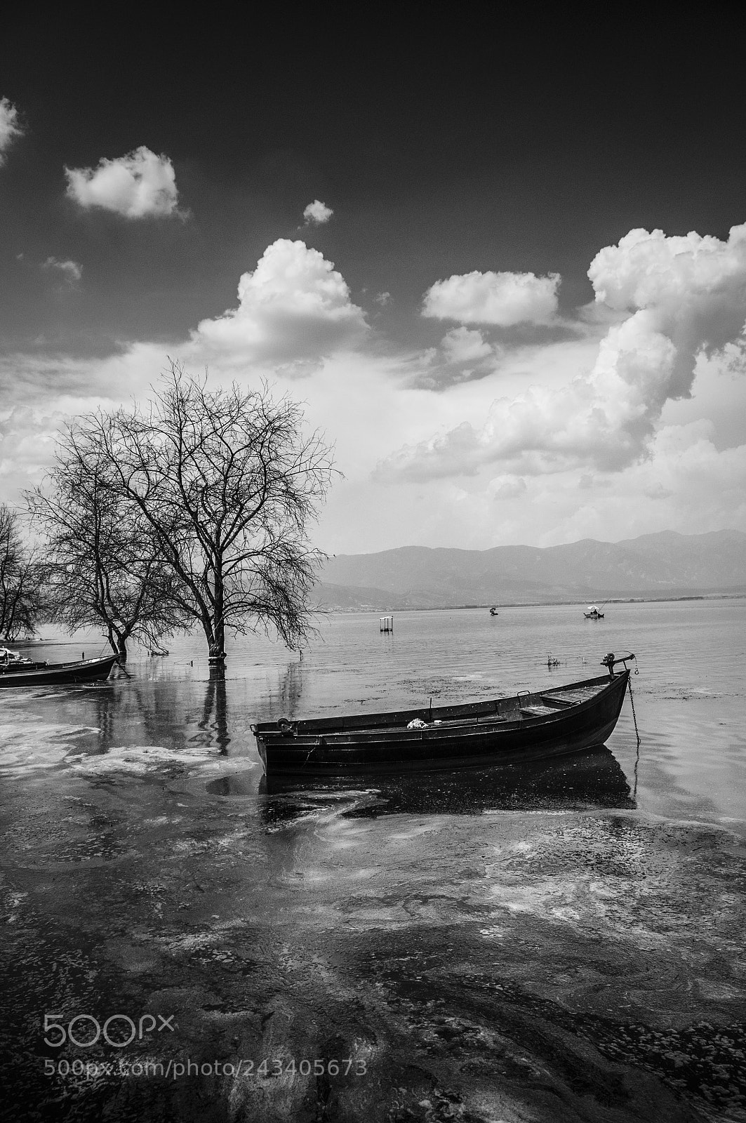 Nikon D5000 sample photo. Boat and tree photography