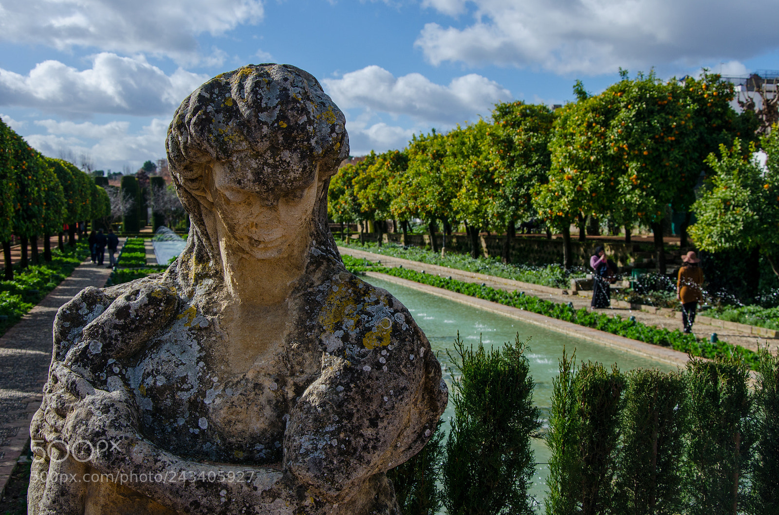 Nikon D5100 sample photo. Cordova photography