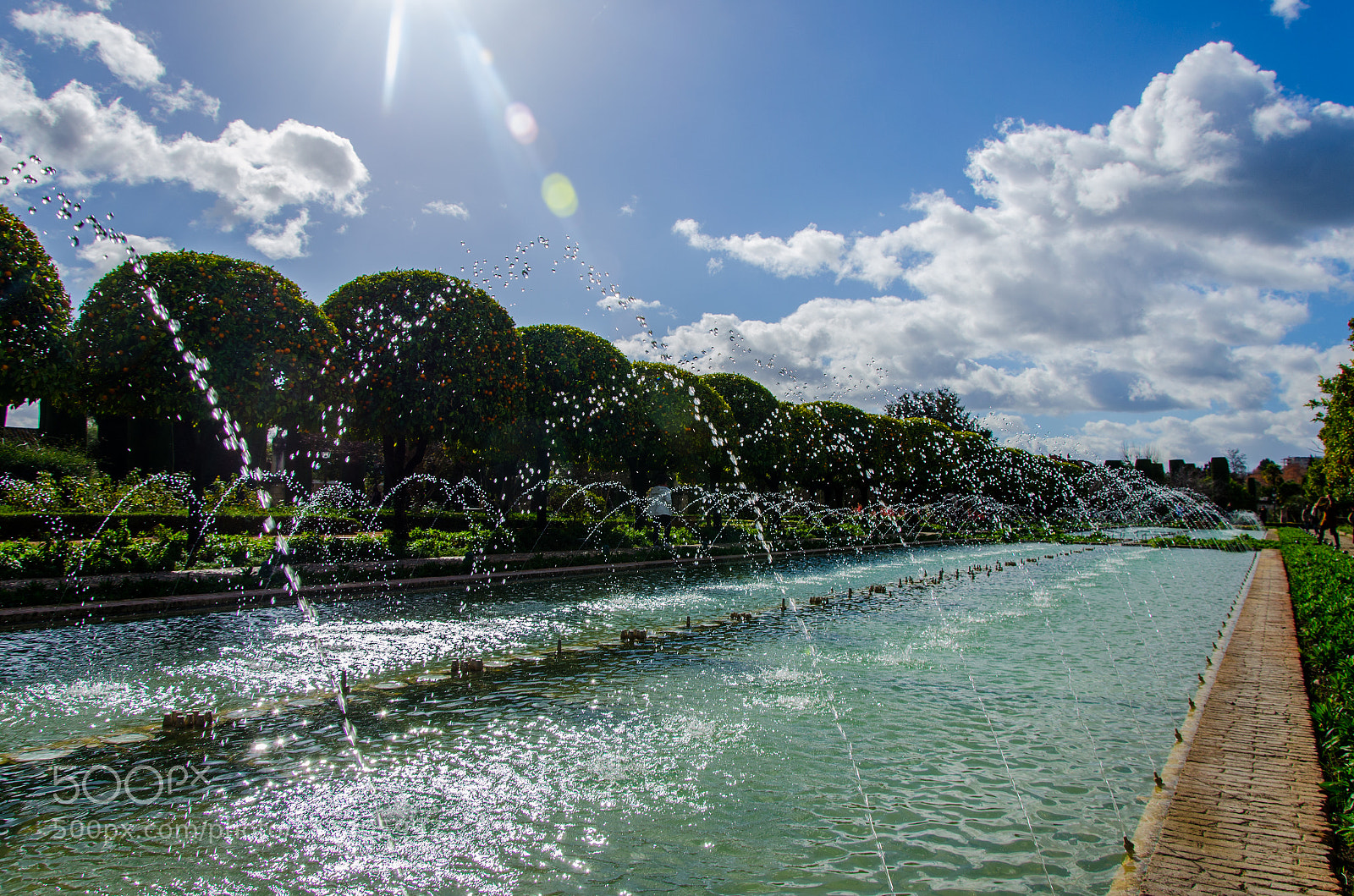 Nikon D5100 sample photo. Cordova photography