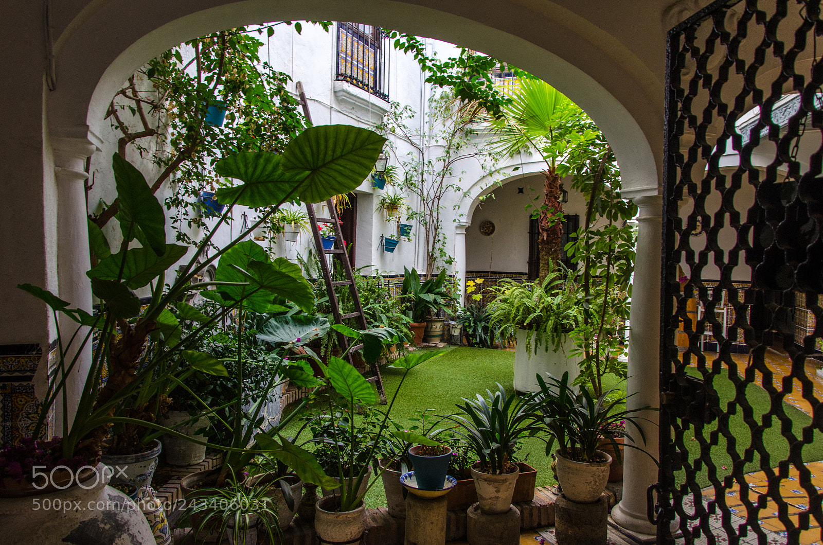 Nikon D5100 sample photo. Cordova photography