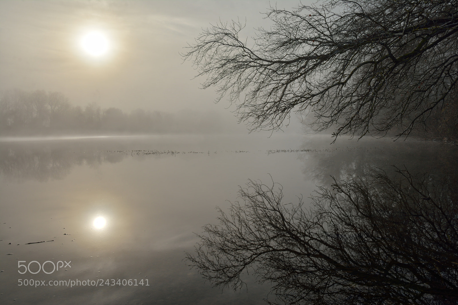 Nikon D7100 sample photo. Untitled photography