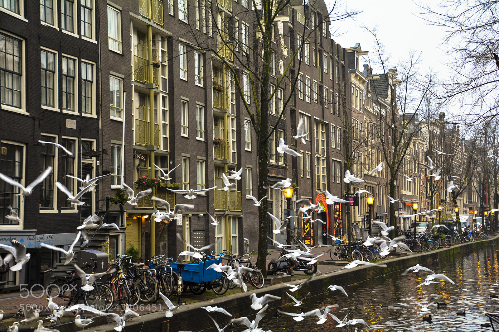Nikon D7100 sample photo. Birds on the canal photography