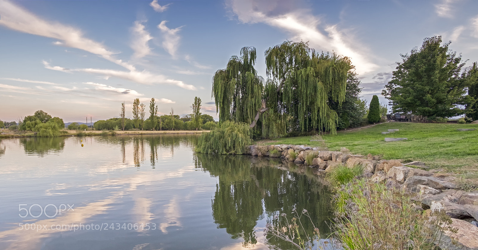 Fujifilm X-E2 sample photo. The willow and rocks photography