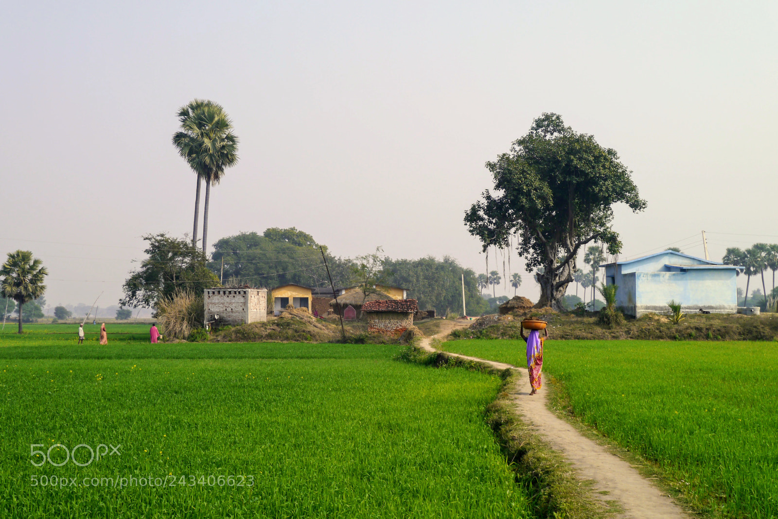 Panasonic Lumix DMC-GX1 sample photo. India photography