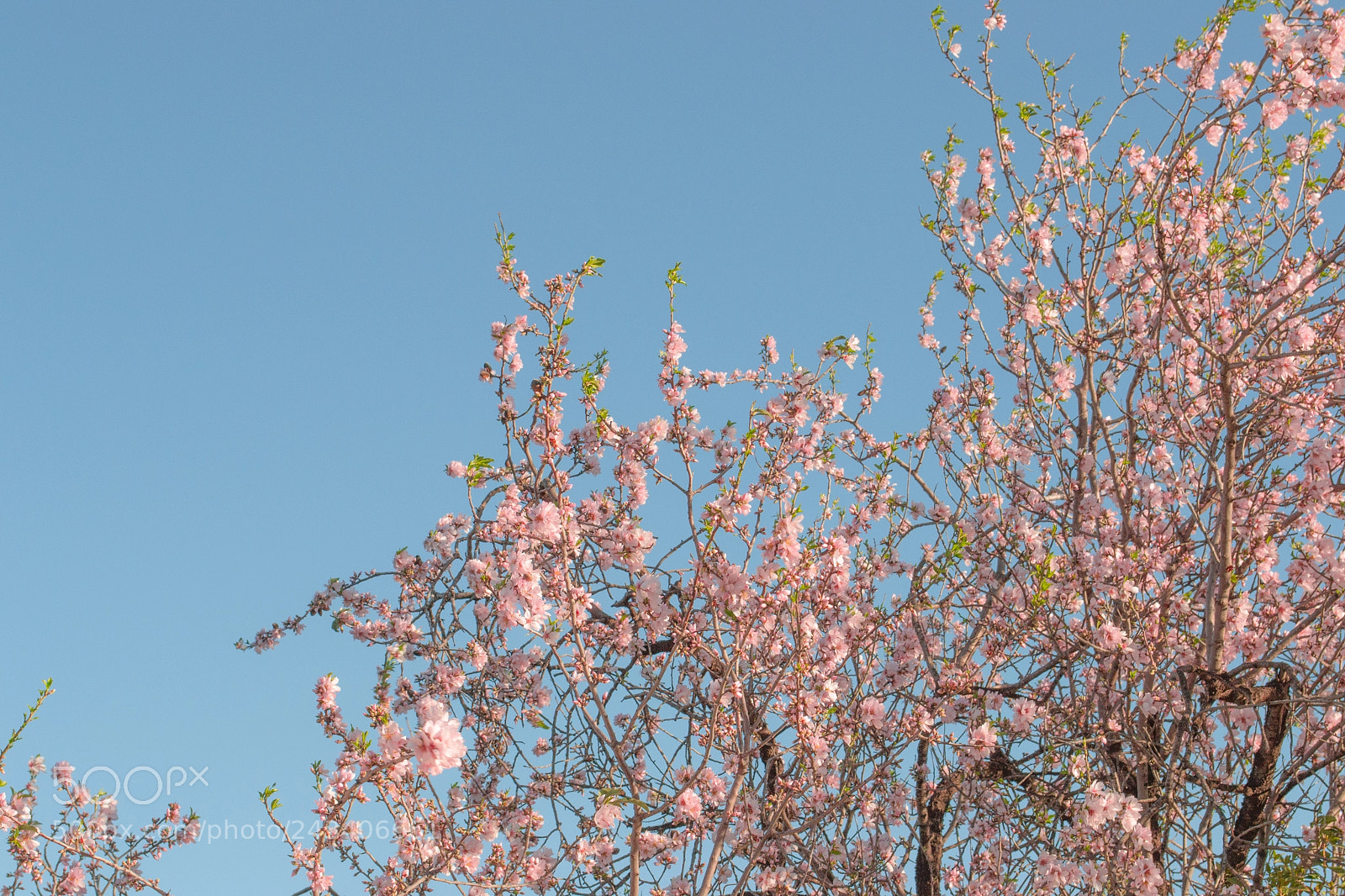 Nikon D3100 sample photo. .:colors:. photography