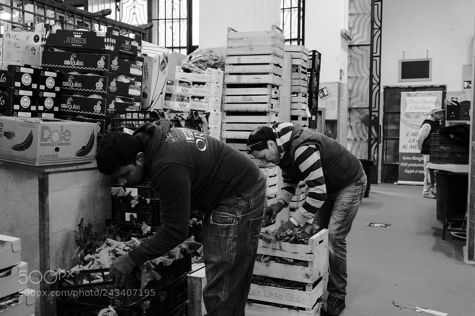 Fujifilm X-T2 sample photo. Untitled photography